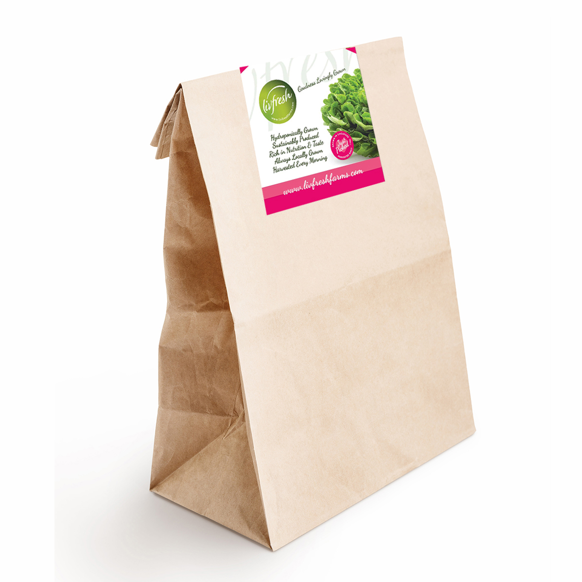 lunch-bag-on-white-small.jpg