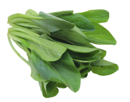 Komatsuna-green leafy vegetable
