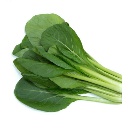 Komatsuna Greens or Japanese mustard spinach