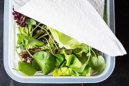 How to store Livfresh farms Greens.